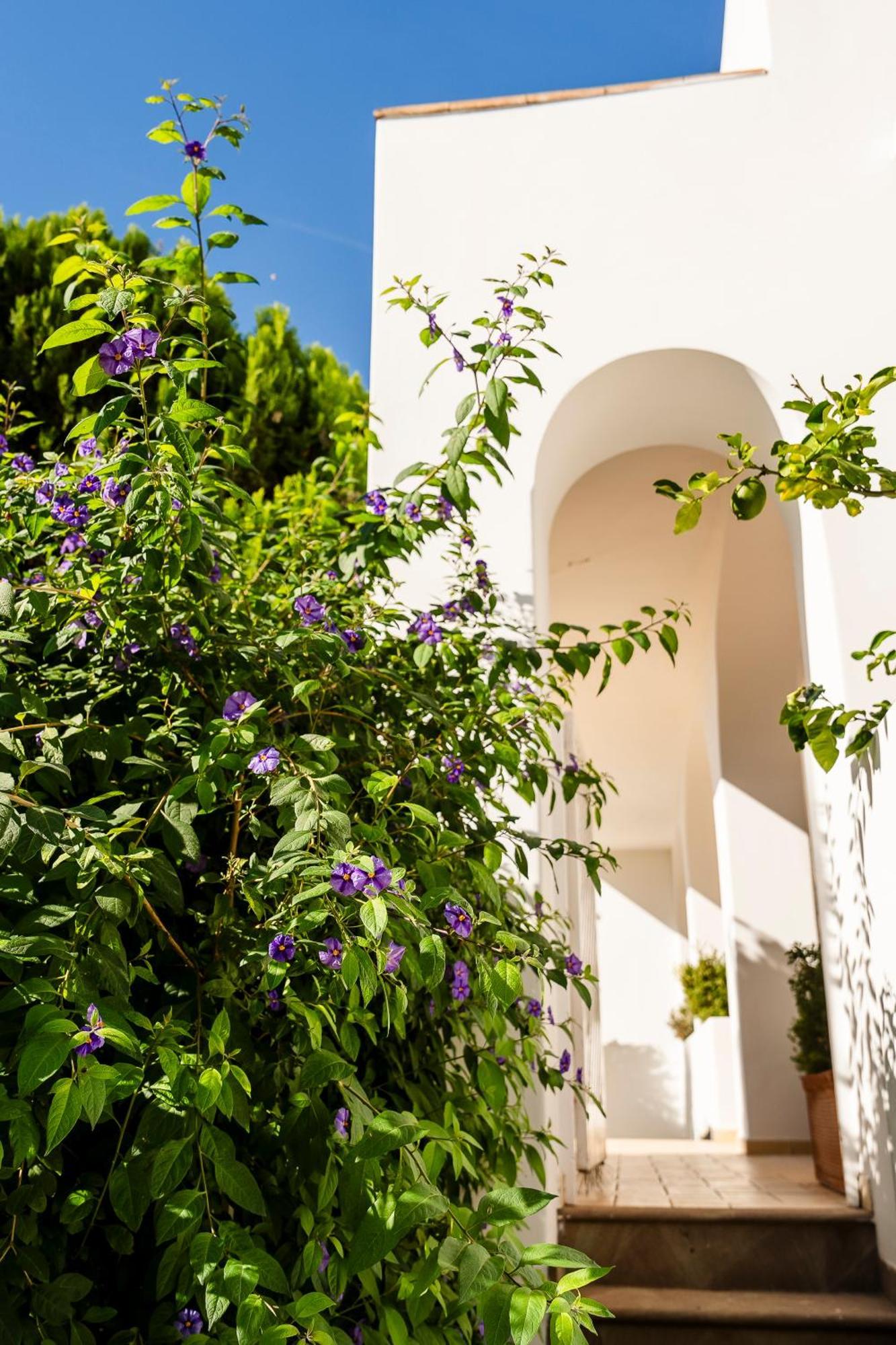 Hotel Senaria Anacapri  Buitenkant foto